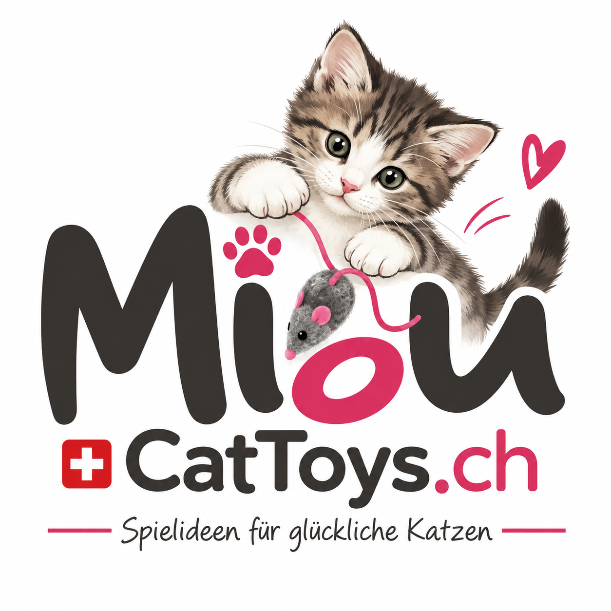 Miou CatToys.ch – Spielideen für glückliche Katzen